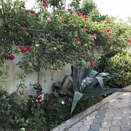 Bajo Guest House 쿠타이시 외부 사진