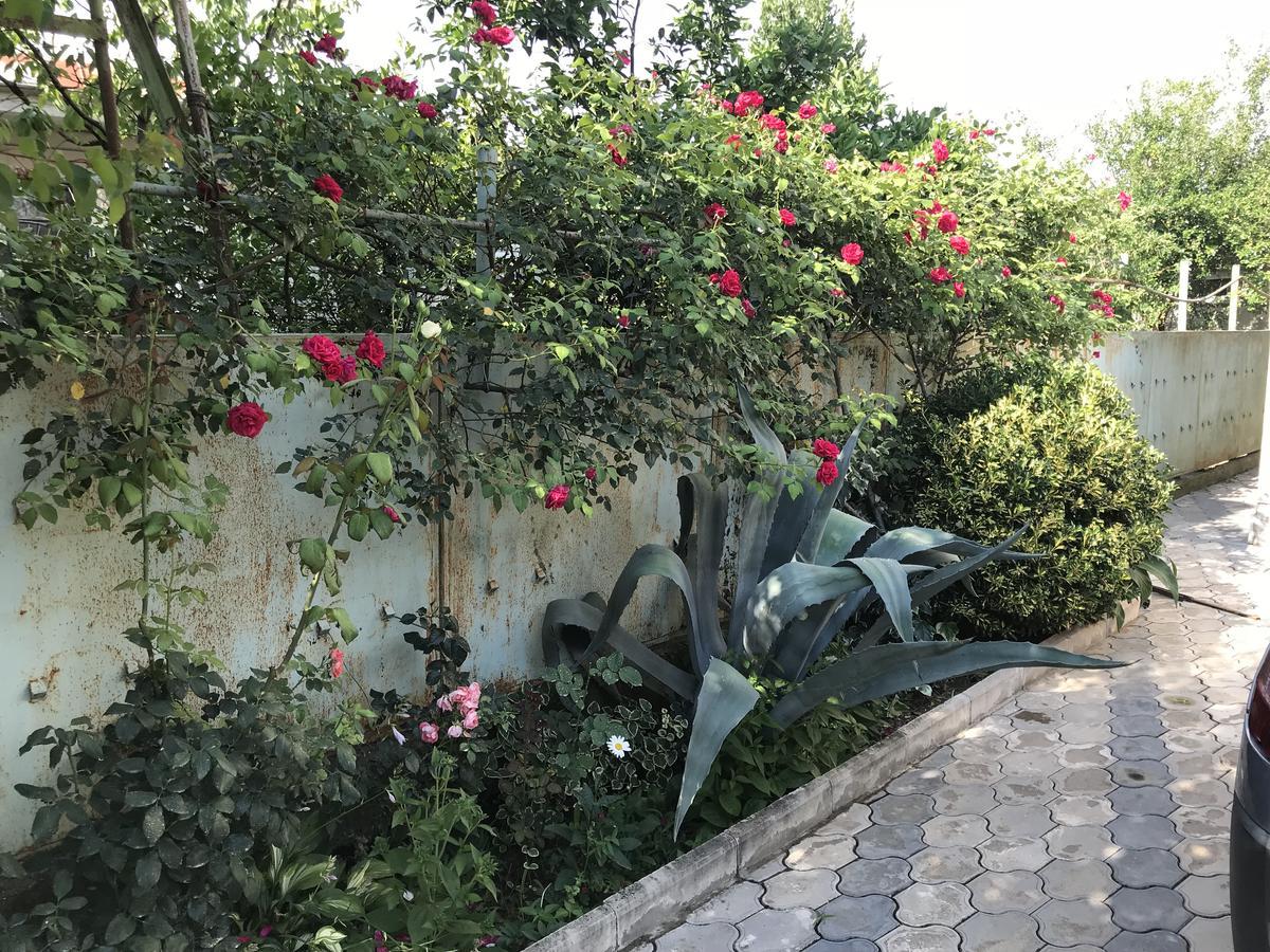 Bajo Guest House 쿠타이시 외부 사진